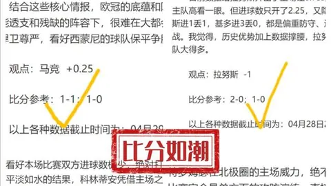 法甲对决：里昂对阵欧塞尔，全面解析两队竞技状态